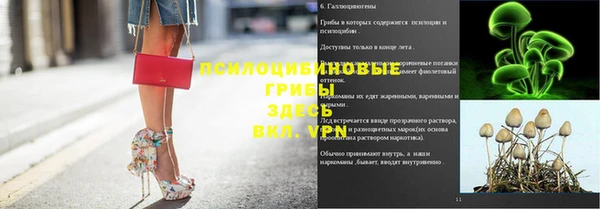 мяу мяу мука Армянск