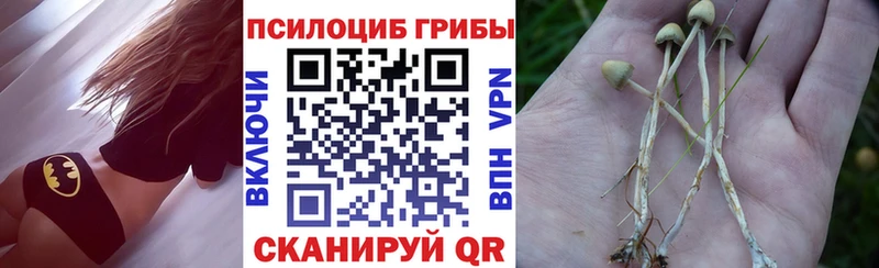 хочу   Приморско-Ахтарск  Псилоцибиновые грибы прущие грибы 